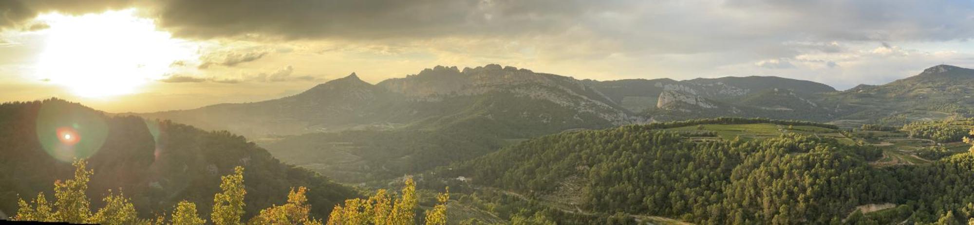 Le Chant Des Cigales LʼIsle-sur-la-Sorgue Exteriör bild